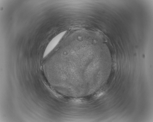 X0000052590523200507221612