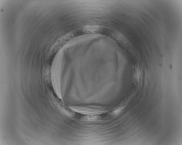 X0000052590526200507221612