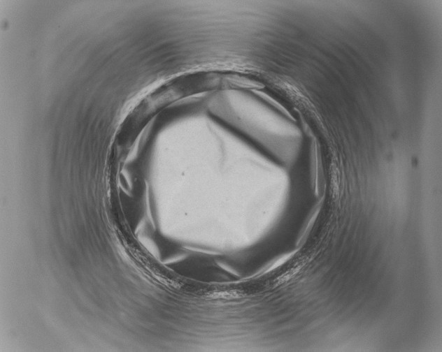 X0000052590536200507221611