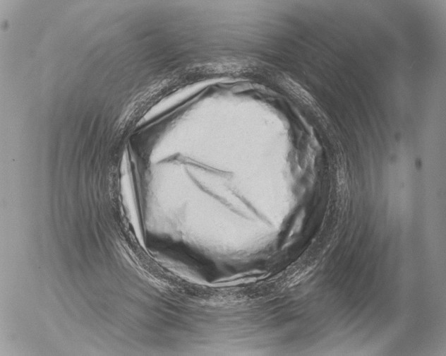 X0000052590537200507221611