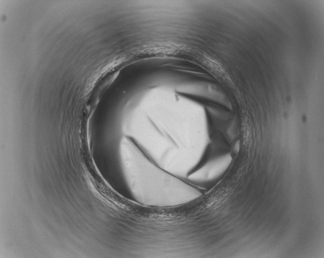 X0000052590538200507221611