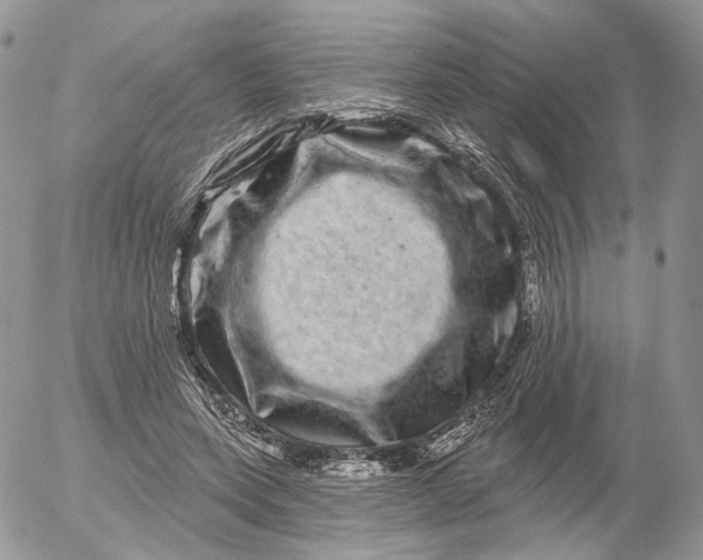 X0000052590543200507221611