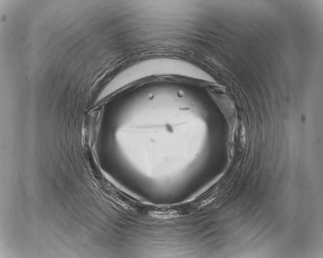 X0000052590556200507221611
