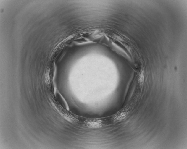 X0000052590560200507221611