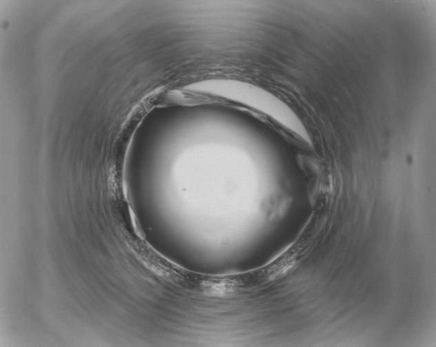 X0000052590564200507221611