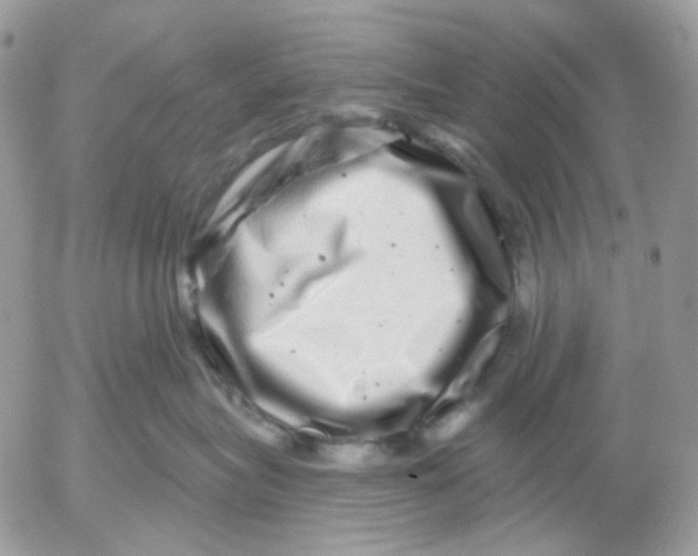 X0000052590575200507221612