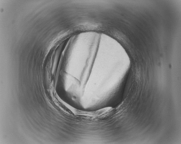 X0000052590582200507221611