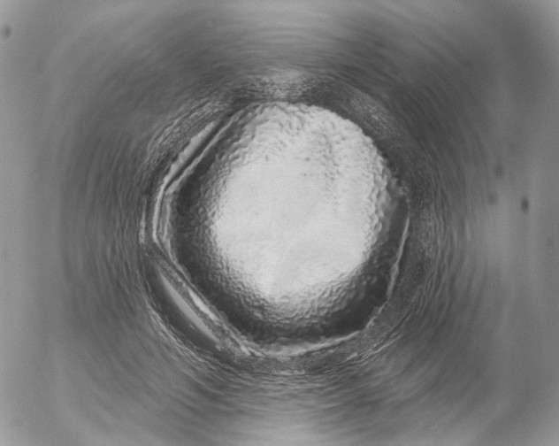 X0000052590594200507221610