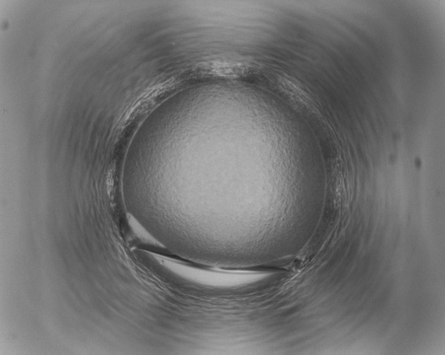 X0000052590595200507221610