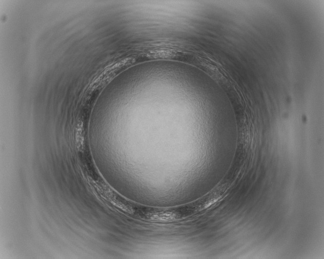 X0000052590599200507221610