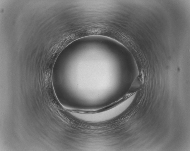 X0000052590601200507221610