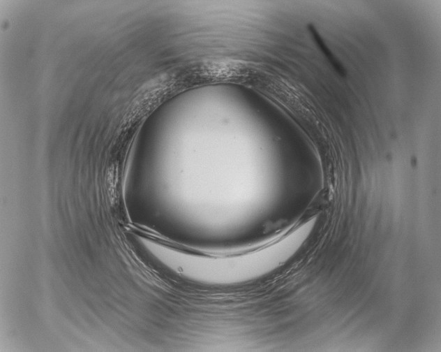 X0000052590605200507221610