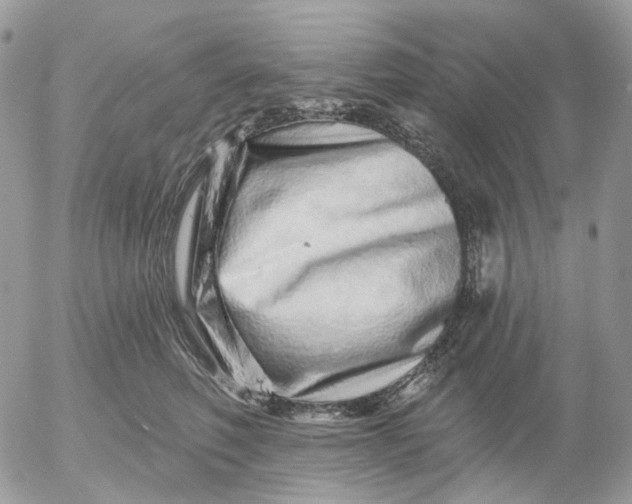 X0000052590614200507221610