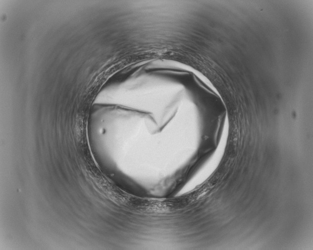 X0000052590656200507221610
