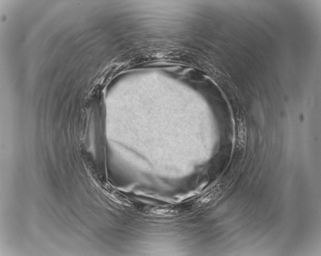 X0000052590657200507221610