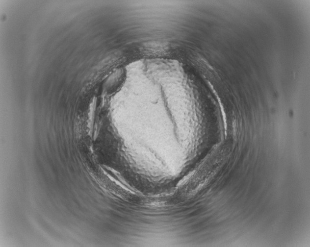 X0000052590658200507221610