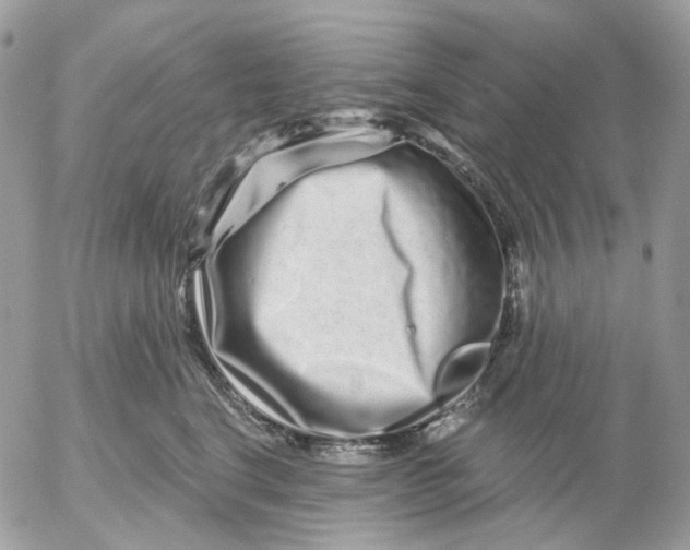 X0000052590664200507221610