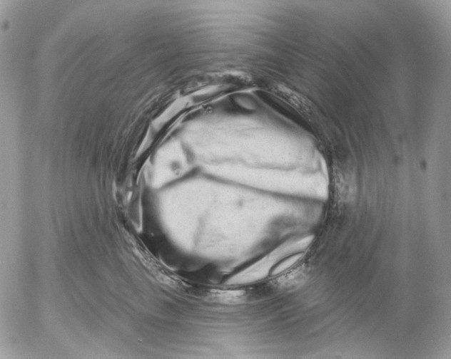 X0000052590665200507221610