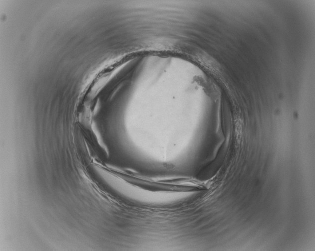 X0000052590676200507221609