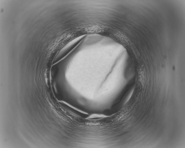 X0000052590690200507221609
