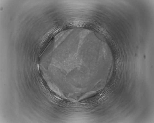 X0000052590693200507221609