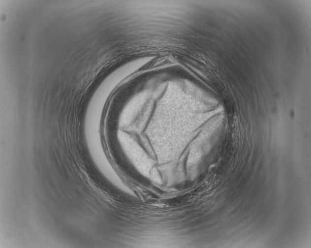 X0000052590695200507221609