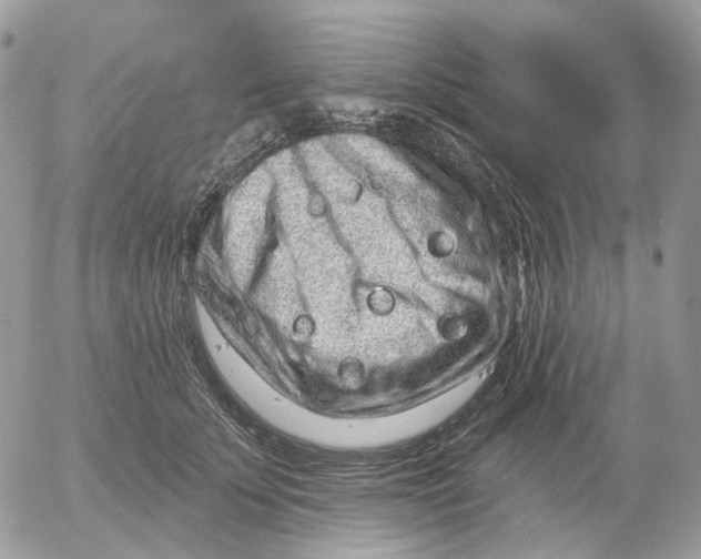 X0000052590707200507221609