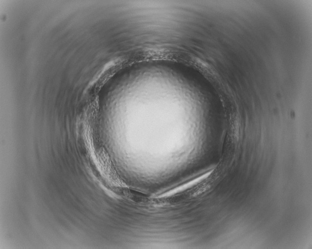 X0000052590712200507221609
