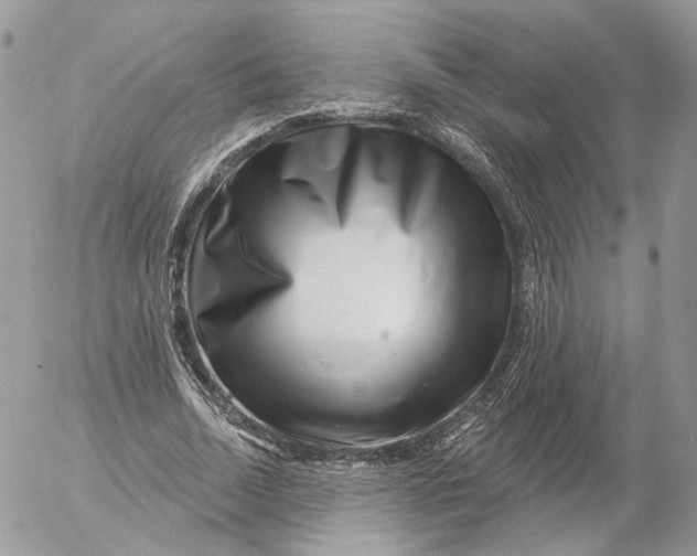 X0000052590730200507221608