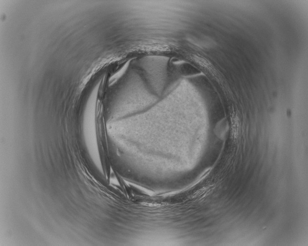 X0000052590731200507221608