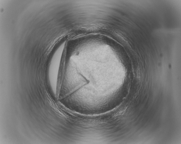 X0000052590733200507221608