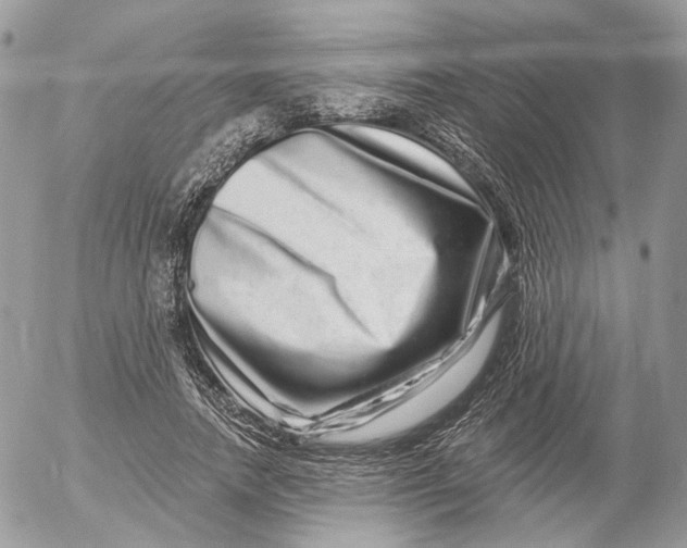 X0000052590738200507221608