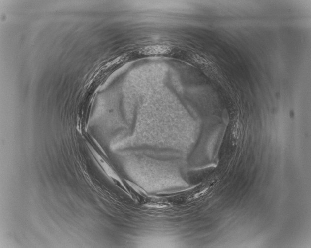 X0000052590743200507221608