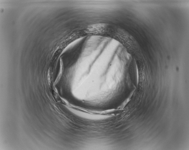 X0000052590751200507221608