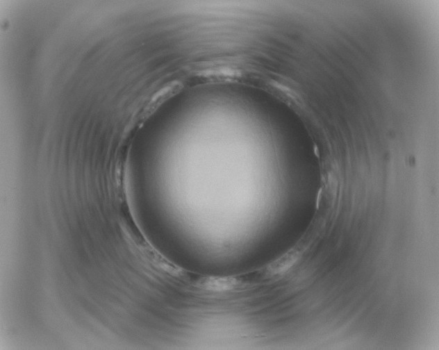 X0000052590767200507221608