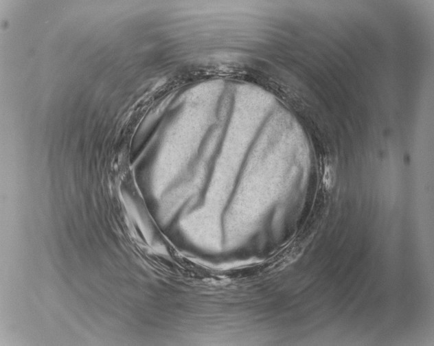 X0000052590771200507221608