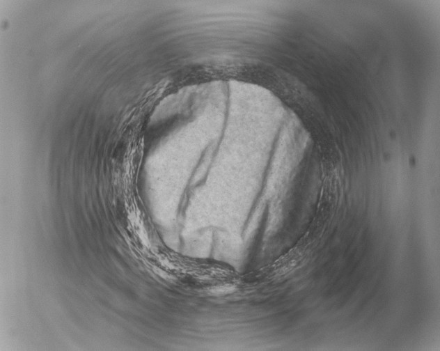 X0000052590772200507221608