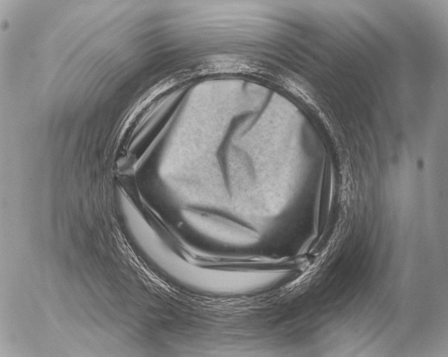 X0000052590786200507221607