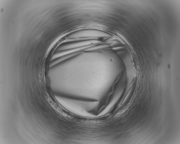 X0000052590788200507221607