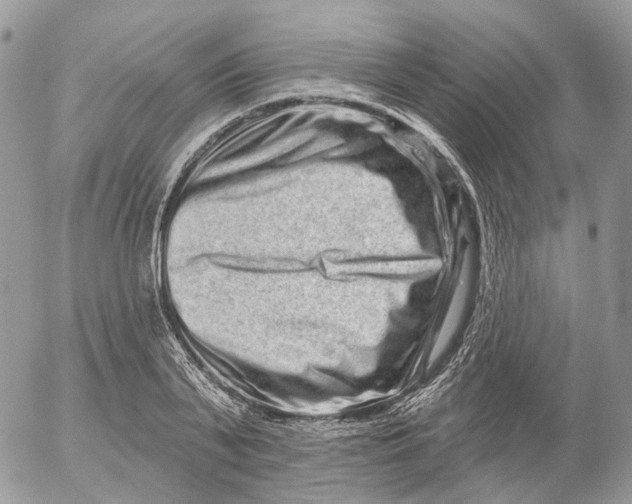 X0000052590791200507221607