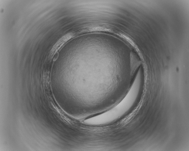 X0000052590793200507221607