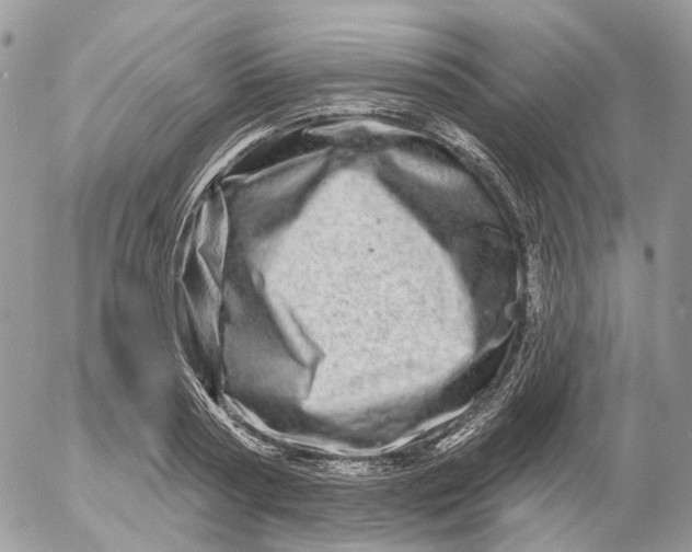 X0000052590794200507221607