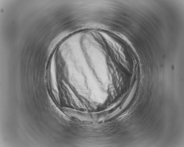 X0000052590799200507221607