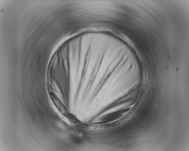 X0000052590803200507221607