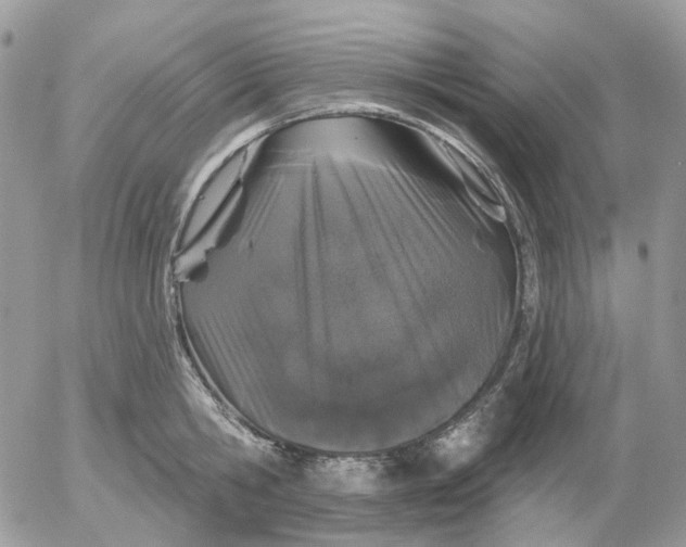 X0000052590806200507221607