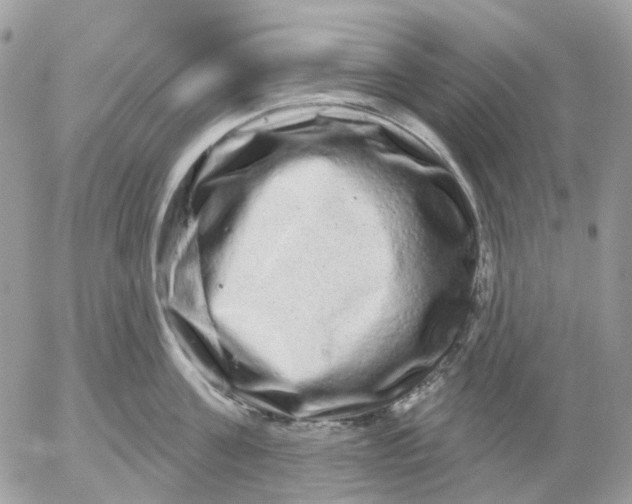 X0000052590811200507221607