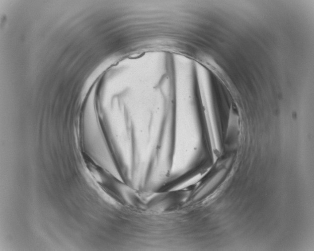 X0000052590812200507221607