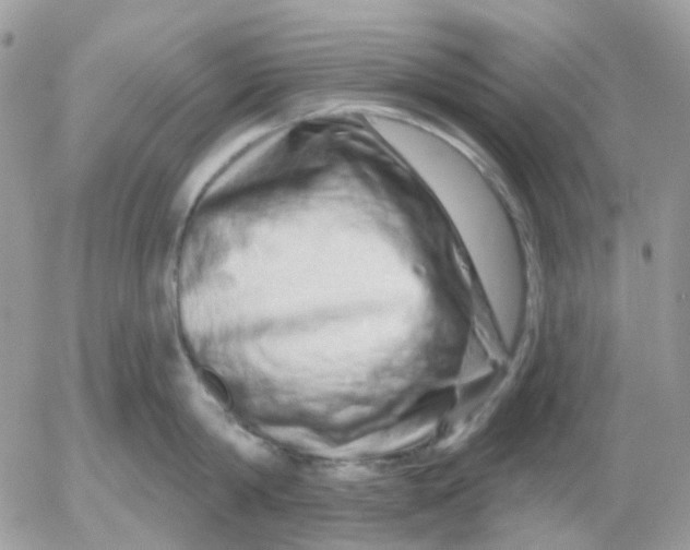 X0000052590814200507221607