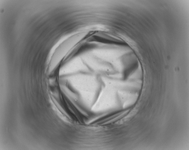 X0000052590816200507221607