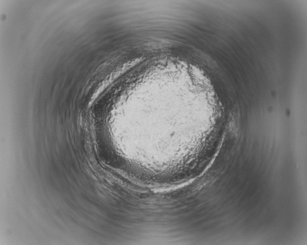X0000052590819200507221606